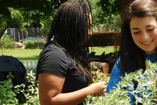 NSLC Environmental Science & Sustainability