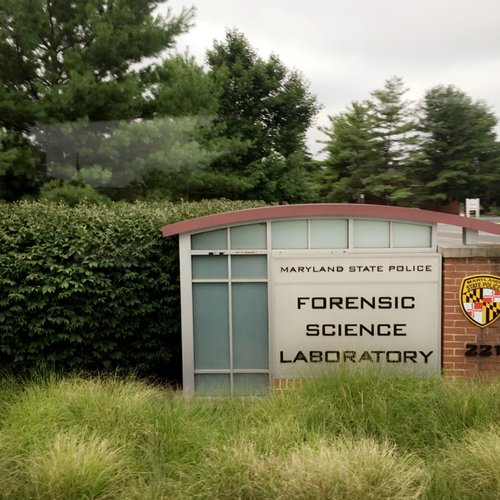 We visited a lab where samples from a crime scene are tested!