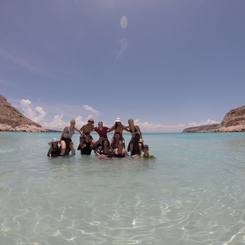 Snorkeling with the sea lions
