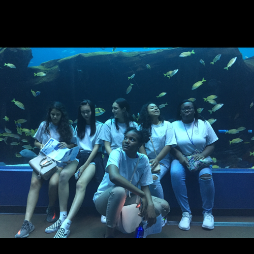 By far the best aquarium I've been to!!