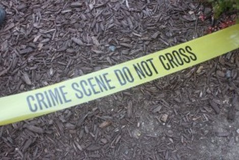 Saint Rose Pre-College Summer Experience: Criminal Justice and Forensics