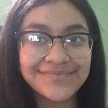 Brisa